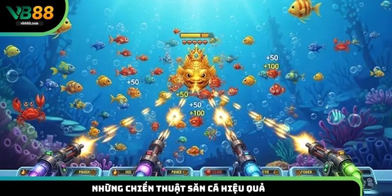 Những chiến thuật săn cá hiệu quả mà ít cao thủ chia sẻ 