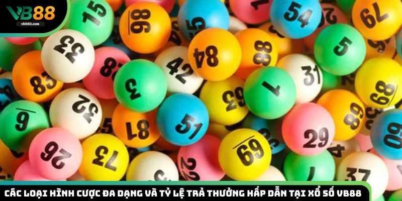 Các Loại Hình Cược Đa Dạng Và Tỷ Lệ Trả Thưởng Hấp Dẫn Tại Xổ Số VB88